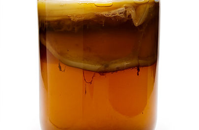 405px-kombucha_mature.jpg