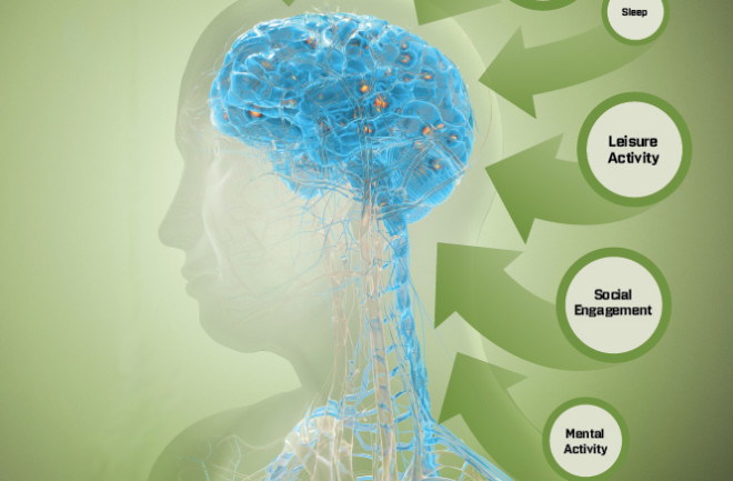 Alzheimer's Disease Solutions - Bryan Christie Design