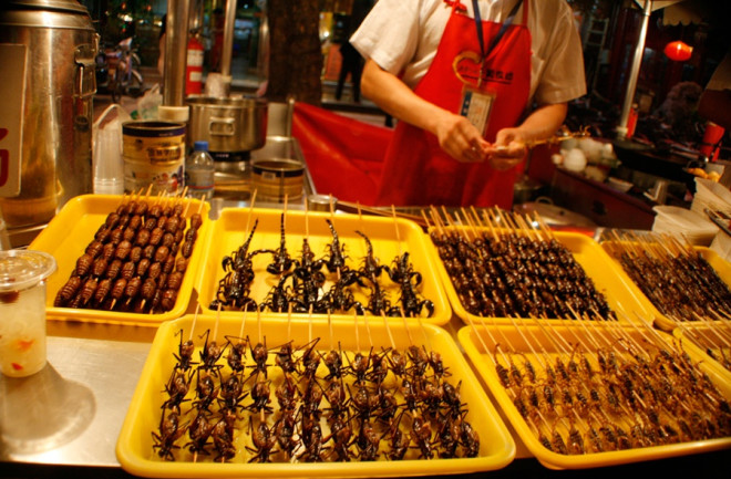 bugs-on-sticks