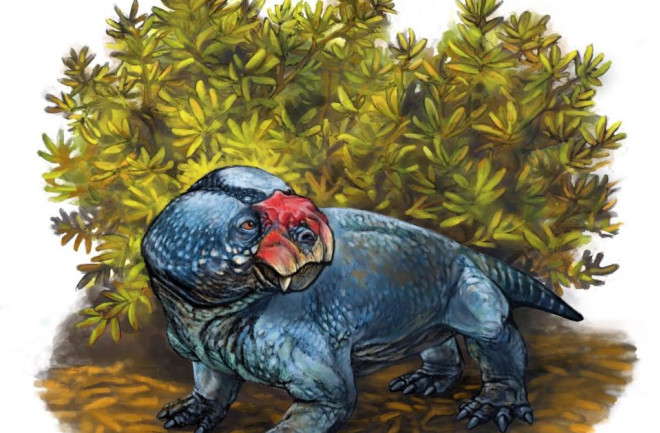 bulbasaurus.jpg