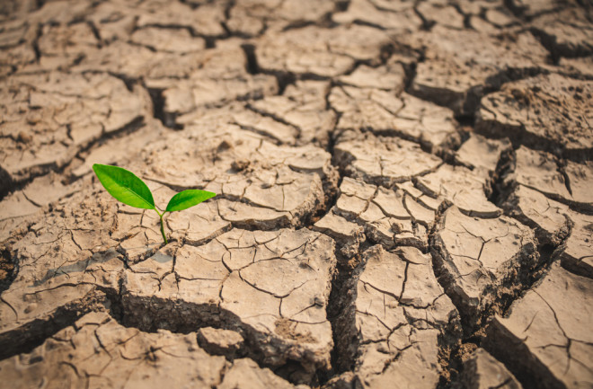 Drought