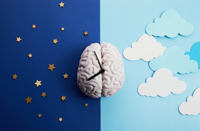 Melatonin and the brain