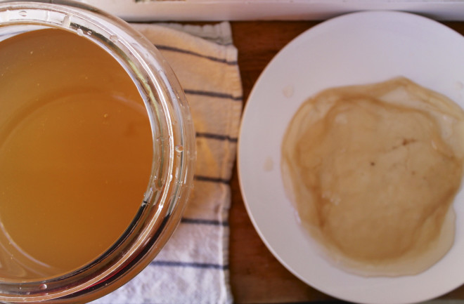 kombucha-with-scoby.jpg
