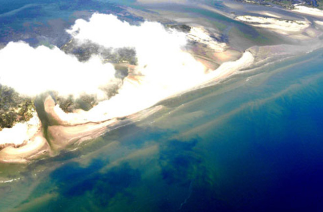 oilspill.jpg