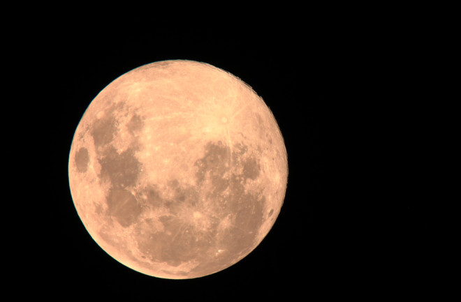 Pink Moon