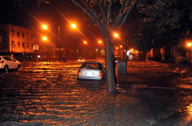 sandy.jpg