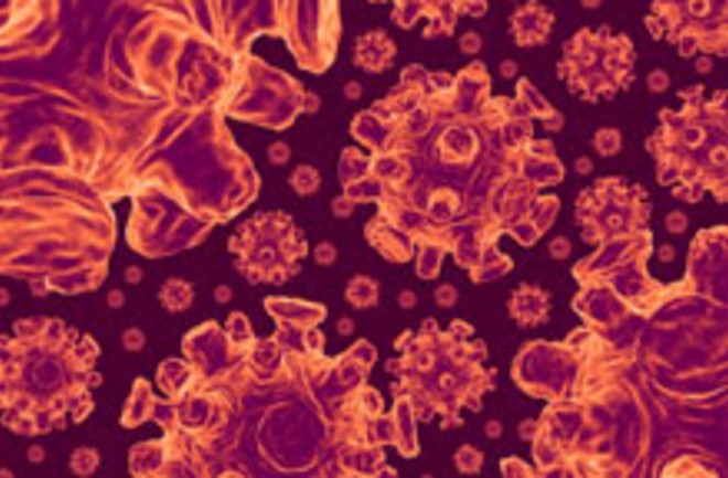 Viruses - iStockPhoto